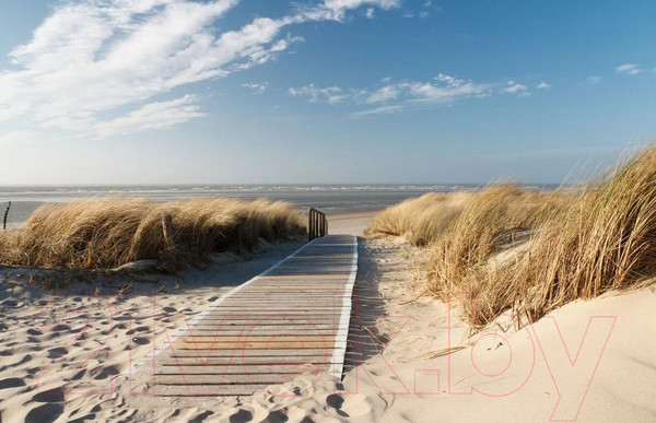 Изображение товара Фотообои листовые Citydecor Природа 13 (400x260см)