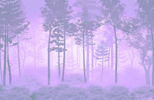 Изображение товара Фотообои листовые Citydecor Таинственный лес 13 (400x260см)