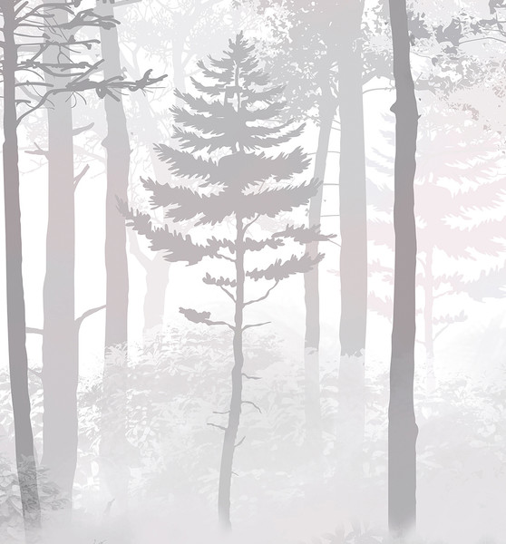 Изображение товара Фотообои листовые Citydecor Таинственный лес 15 (400x260см)