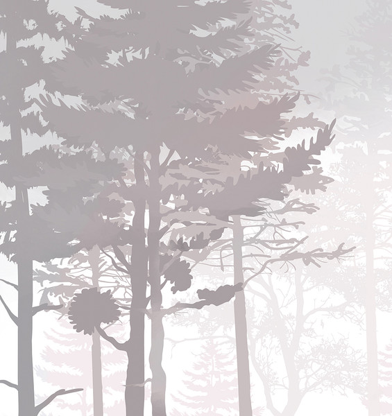 Изображение товара Фотообои листовые Citydecor Таинственный лес 15 (400x260см)