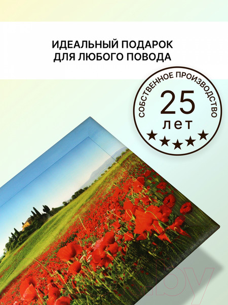 Изображение товара Картина Декарт 8Л3072