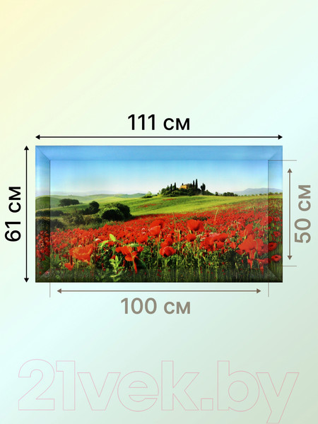 Изображение товара Картина Декарт 8Л3072