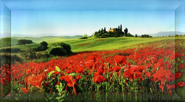 Изображение товара Картина Декарт 8Л3072