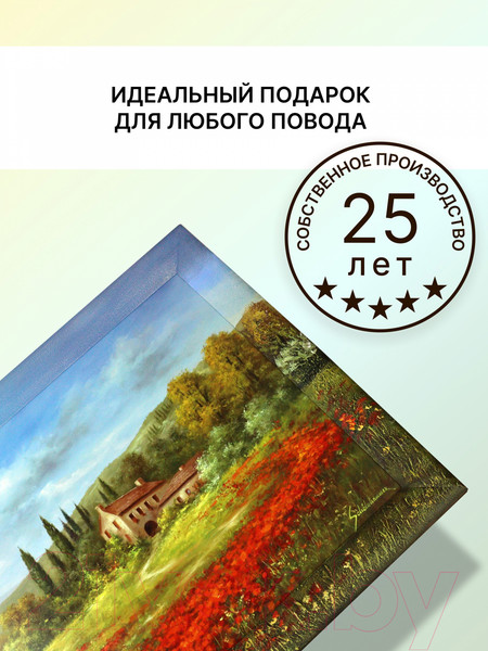 Изображение товара Картина Декарт Пейзаж с маковым полем 8Л0382 (в раме)