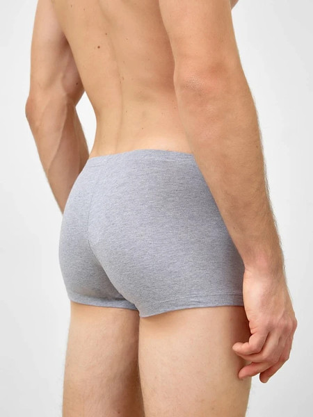 Изображение товара Трусы мужские Mark Formelle 411122 (р.110-120, серый меланж)