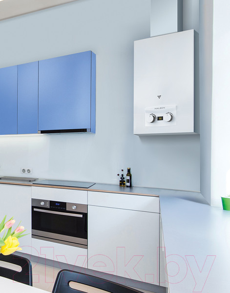 Изображение товара Газовая колонка Oasis Eco 24 О