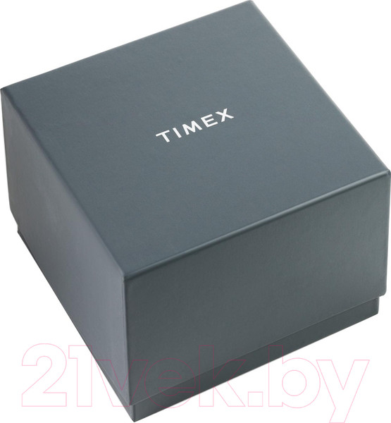 Изображение товара Часы наручные мужские Timex TW2V43700