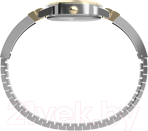 Изображение товара Часы наручные женские Timex TW2W18500