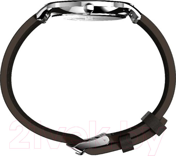 Изображение товара Часы наручные мужские Timex TW2W43700