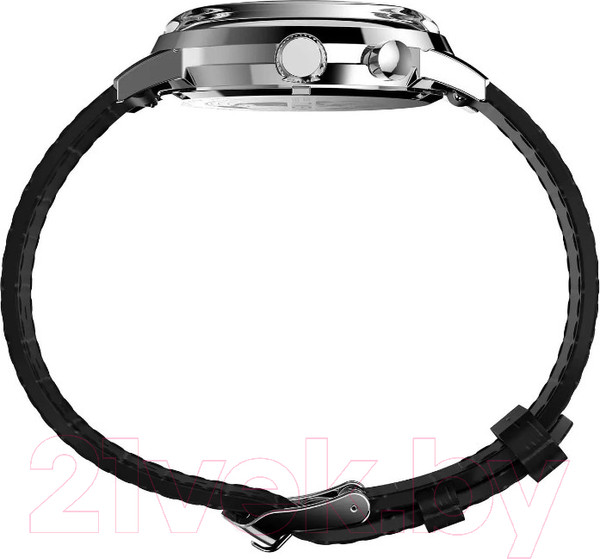 Изображение товара Часы наручные мужские Timex TW2W51200