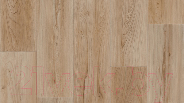 Изображение товара Линолеум Tarkett Club Bride 1 (1.5x5.5м)