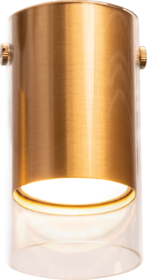 Изображение товара Точечный светильник Wolta WSL-GU10/07G