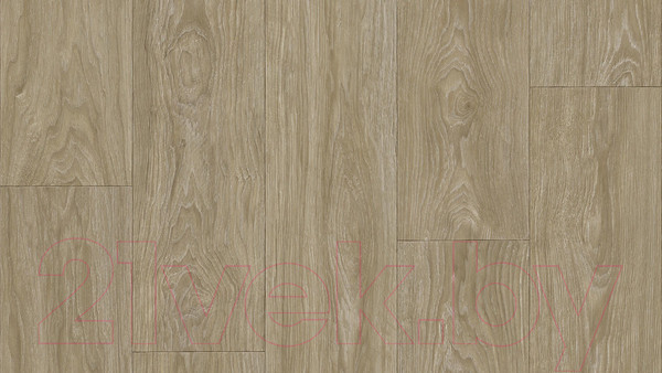 Изображение товара Линолеум Tarkett Club Maximus 2 (2x2м)