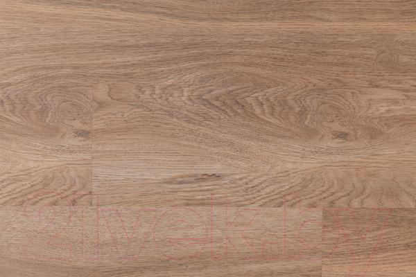 Изображение товара Виниловый пол SPC Floor Bonkeel Base Дуб Ингемар 411