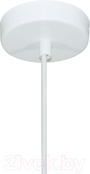 Изображение товара Потолочный светильник Элетех Эстет 9904 НСБ 01-60-196 / 1005405386 (белый)