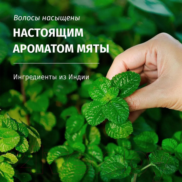 Изображение товара Бальзам для волос Herbal Essences Аромат Мяты (250мл)