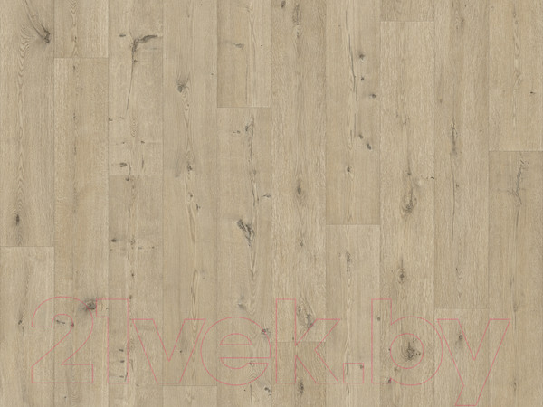 Изображение товара Линолеум IVC Гринлайн Дуб Белфорт 539 (3x2.5м)