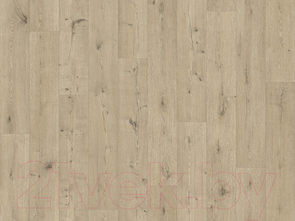 Изображение товара Линолеум IVC Гринлайн Дуб Белфорт 539 (4x2м)
