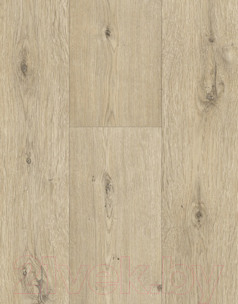 Изображение товара Линолеум IVC Гринлайн Дуб Белфорт 539 (3x3.5м)