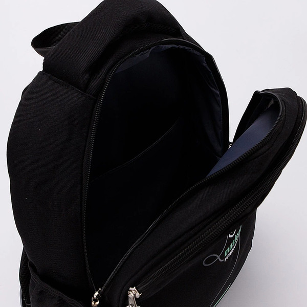 Изображение товара Рюкзак Ecotope 306-72801-BLK (черный)