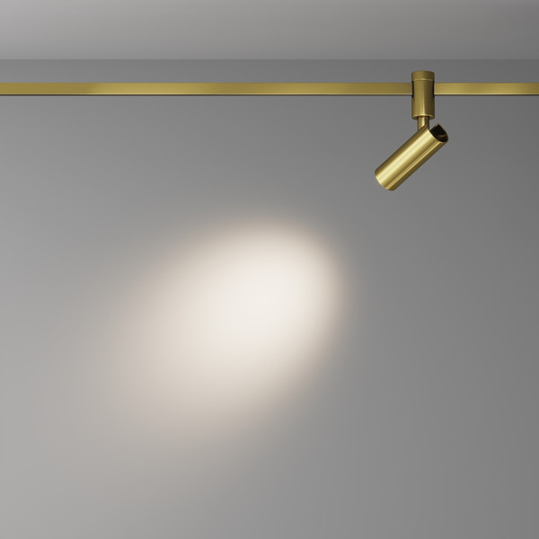 Изображение товара Трековый светильник Maytoni TR144-1-5W3K-W-BS