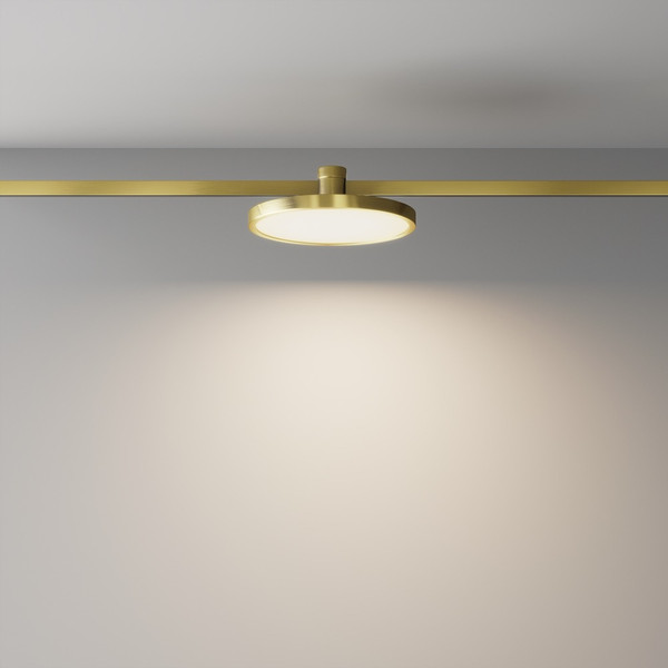 Изображение товара Трековый светильник Maytoni TR153-1-10W3K-BS