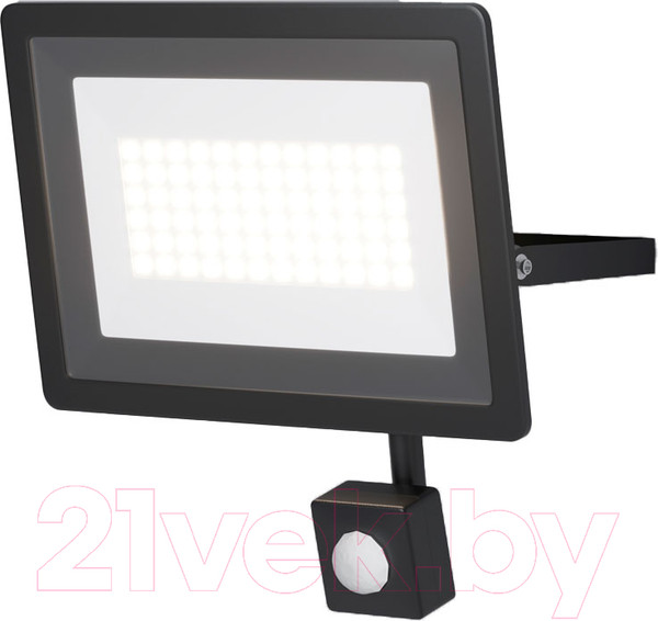 Изображение товара Прожектор Maytoni Flood FL001-L50B6KSR