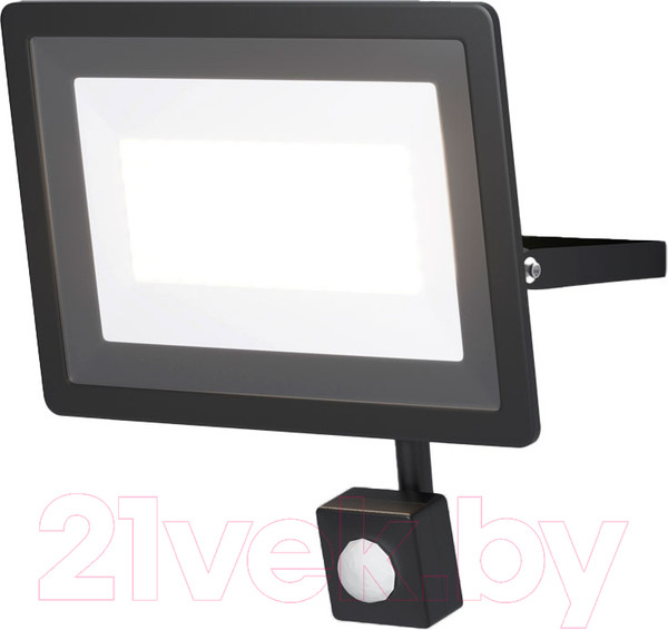 Изображение товара Прожектор Maytoni Flood FL001-L50B4KSR