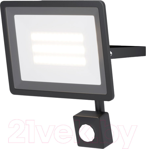 Изображение товара Прожектор Maytoni Flood FL001-L30B6KSR