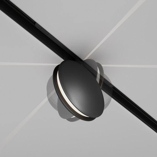 Изображение товара Трековый светильник Maytoni TR090-2-6W4K-B