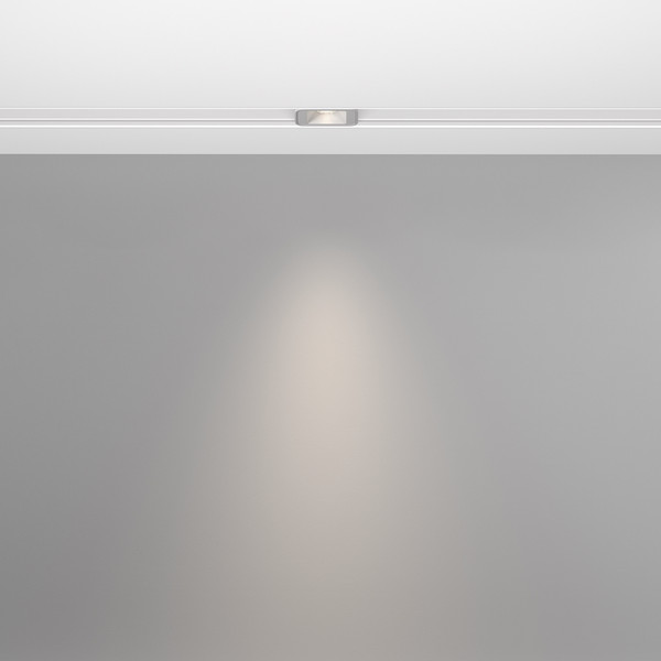 Изображение товара Трековый светильник Maytoni TR100-2-2W4K-S-W