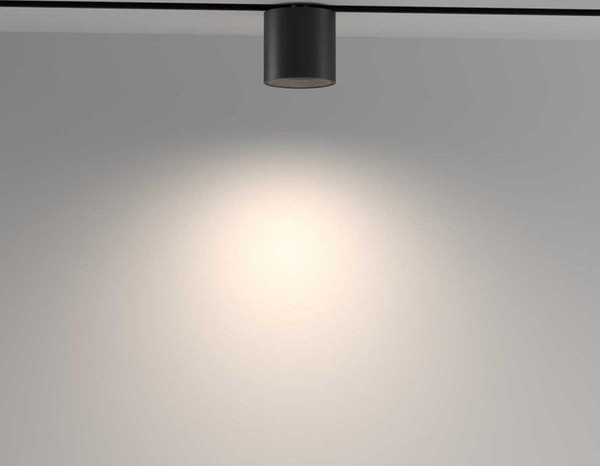 Изображение товара Трековый светильник Maytoni TR132-4-7W-DS-B
