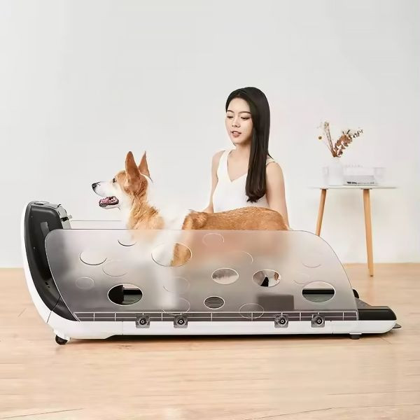 Изображение товара Беговая дорожка для собак DFC Yesoul T-Q1