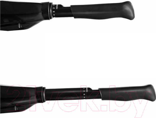 Изображение товара Мотор лодочный HK Motors TRM-L-55