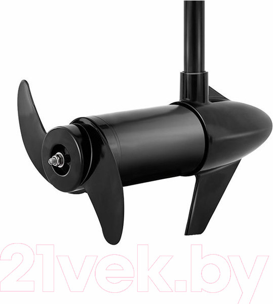 Изображение товара Мотор лодочный HK Motors TRM-L-46