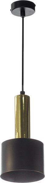 Изображение товара Потолочный светильник Aitin-Pro НСБ 01-40-101 / A8133S (черный/золото)