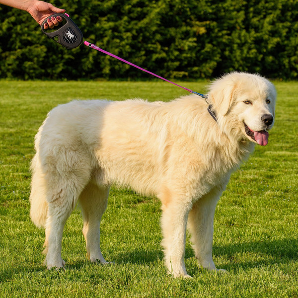 Изображение товара Поводок-рулетка Ferplast Flippy One Reflex L / 75097019 (шнур, фуксия)