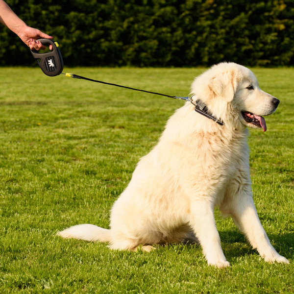 Изображение товара Поводок-рулетка Ferplast Flippy One Reflex L / 75097023 (шнур, зеленый)