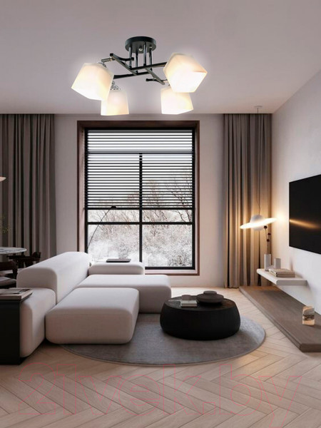 Изображение товара Спот Aitin-Pro НПБ 02-4x60-101 / N5488/4 (черный/хром)