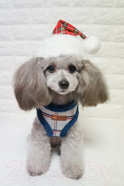 Изображение товара Шапка для животных Puppia Santa / PDDF-SH23-CR-M (красная клетка)