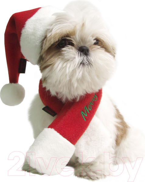 Изображение товара Шапка для животных Puppia Santa / PDDF-SH23-RD-XL (красный)