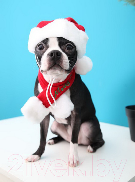 Изображение товара Шарф для животных Puppia Santa / PDDF-SM23-RD-XL (красный)