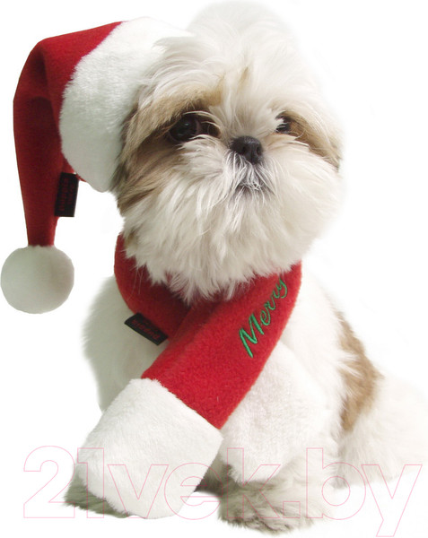 Изображение товара Шарф для животных Puppia Santa / PDDF-SM23-RD-XL (красный)