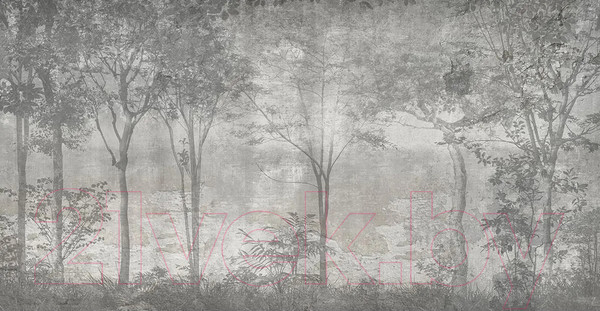 Изображение товара Фотообои листовые Citydecor Dark side 34 (500x260см)