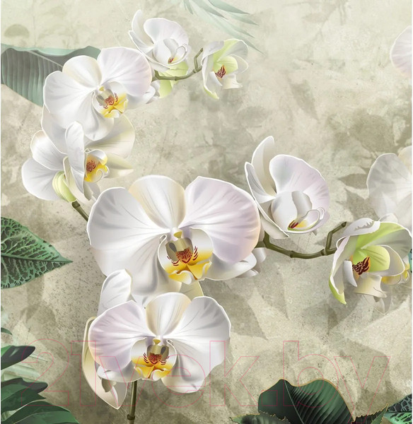 Изображение товара Фотообои листовые Citydecor Знойные тропики 11 (500x260см)