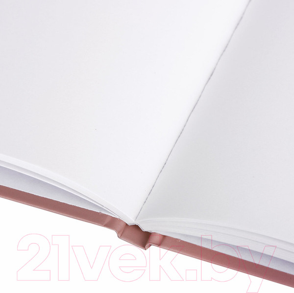 Изображение товара Скетчбук Brauberg Art Debut. Корги / 114579 (80л, белая бумага)