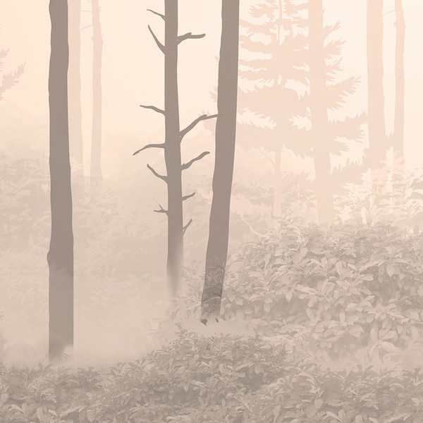 Изображение товара Фотообои листовые Citydecor Таинственный лес 10 (500x260см)