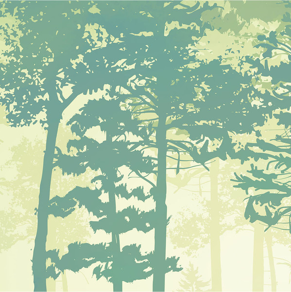 Изображение товара Фотообои листовые Citydecor Таинственный лес 11 (500x260см)