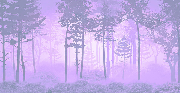 Изображение товара Фотообои листовые Citydecor Таинственный лес 13 (500x260см)