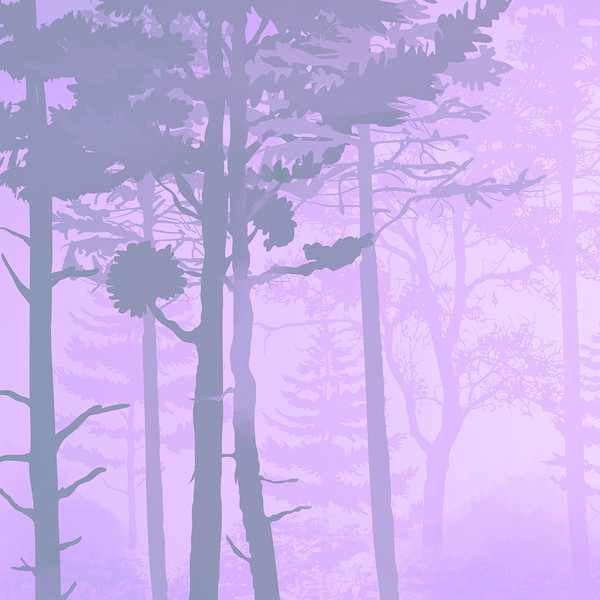 Изображение товара Фотообои листовые Citydecor Таинственный лес 13 (500x260см)